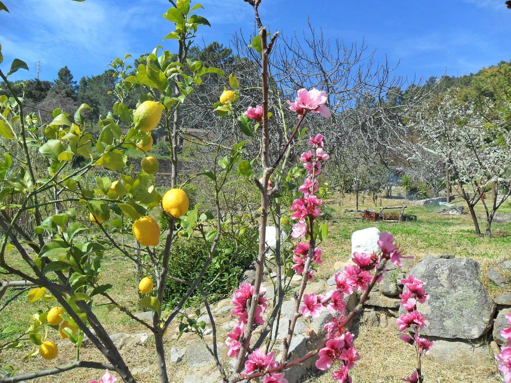 Quinta do Tempo Turismo Rural Monchique Quarto foto